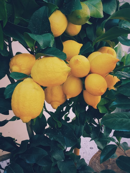 Health Tip: Lovely Lemon!
